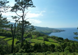 Isola Di Faial / Escursione All’isola Di Pico.jpg