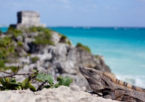 Chichén Itzá - Tulum (260 Km / 2h 55min).jpg