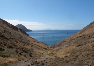 (03/01/2020) Madeira.jpg