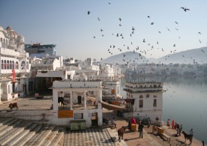 Luni - Jodhpur - Luni (90 Km).jpg