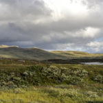 Altopiano di Hardangervidda