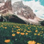 Paesaggio delle Dolomiti (Photo by Damiano Baschiera on Unsplash)