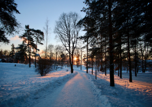 Turku - Salo - Fiskars - Helsinki (300 Km).jpg