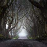 The Dark Hedges