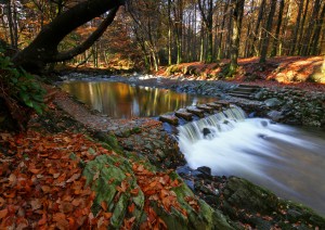 Dublino - Tollymore Forest Park - Inch Abbey - Castle Ward - Quintin Bay - Strangford (205 Km / 4h 45min).jpg