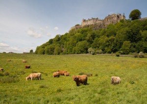 Edimburgo - Culross - Stirling - Doune - Eilean Donan - Kyle Of Lochalsh (340 Km / 5h 15min).jpg