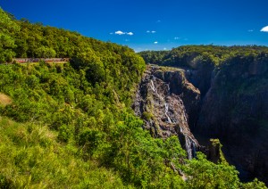 Cairns / Kuranda (rainforest).jpg