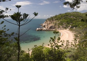 Cairns - Townsville (350 Km / 4h 15min) (traghetto) Magnetic Island.jpg