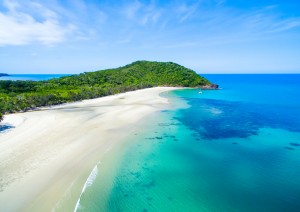 Cairns / Escursione A Cape Tribulation E Daintree Forest.jpg