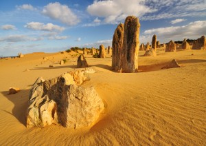 Perth / Escursione Al Pinnacles Desert.jpg