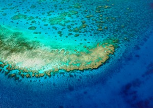 Magnetic Island / Escursione Grande Barriera Corallina.jpg