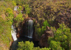 Darwin / Escursione Al Litchfield National Park.jpg