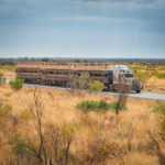 Roadtrain lungo la Stuart Highway