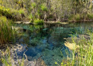 Newcastle Waters - Mataranka - Katherine (410 Km / 4h 45min).jpg