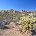 Mojave National Preserve