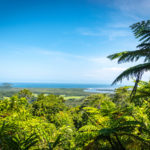 Daintree National Park