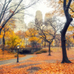 Central Park in autunno