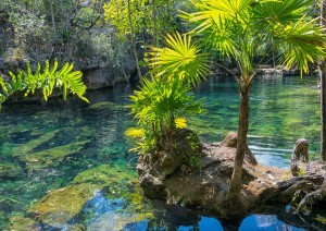 Cancún - Cobá - Rio Lagartos.jpg