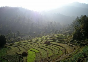 Kathmandu - Nagarkot (1h).jpg