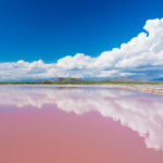 Laro Retba, il lago Rosa