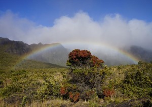 Maui: Strada Per Hana.jpg