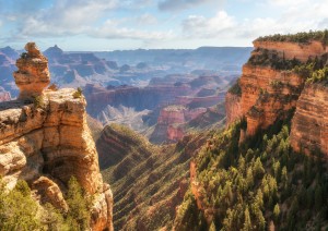 Grand Canyon - Sedona (175 Km / 2h).jpg