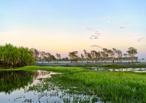 Cooinda - Pine Creek – Darwin (390 Km).jpg