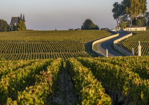 Bordeaux - Médoc - Bordeaux (190 Km).jpg