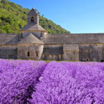 Abbazia di Nôtre Dame de Sénanque