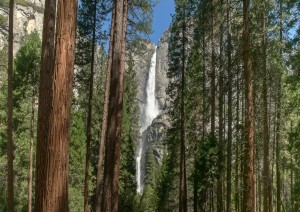 Coulterville - Mammoth Lakes (203 Km).jpg