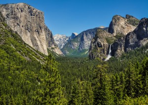 San Francisco - Yosemite Np - Coulterville (409 Km).jpg