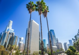 Venice Beach - Los Angeles (30 Km).jpg