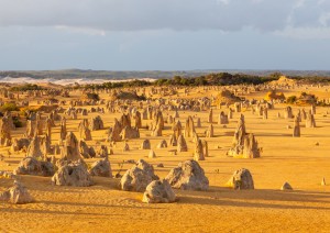 Perth - Pinnacles Desert - Perth (385 Km).jpg