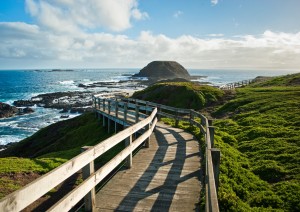 Melbourne - Phillip Island - Melbourne (285 Km).jpg