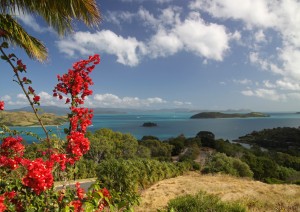 Hamilton Island.jpg