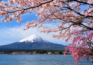 Tokyo - Hakone E Monte Fuji - Tokyo.jpg