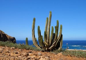Tenerife.jpg
