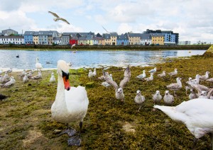 Ballycastle - Silverstrand - Galway (140 Km / 2h 30min).jpg