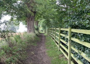 Corbridge - Chollerford (17 Km / 4-6h / 100 M Di Dislivello).jpg