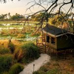 Un campo tendato nel delta dell'Okavango