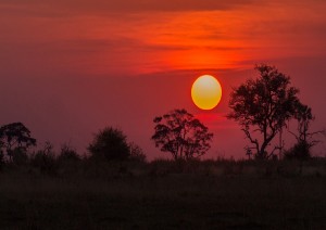 Okavango.jpg