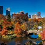 Central Park e il foliage