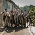 "Gardian" della Camargue