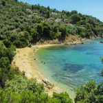 Bellezze naturali e il verde dell'isola di Skiathos