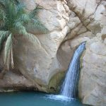 L'acqua color smeraldo che sgorga nel deserto a Chebika