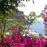 Fiori e natura delle Eolie