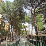 Viale Ceccarini a Riccione