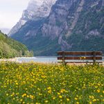 Panchina sul lago di Ginevra