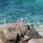 Mare all'isola di Capraia