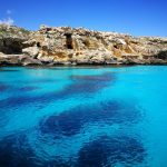 Bue marino a Favignana [foto di Alessandro Bevilacqua]